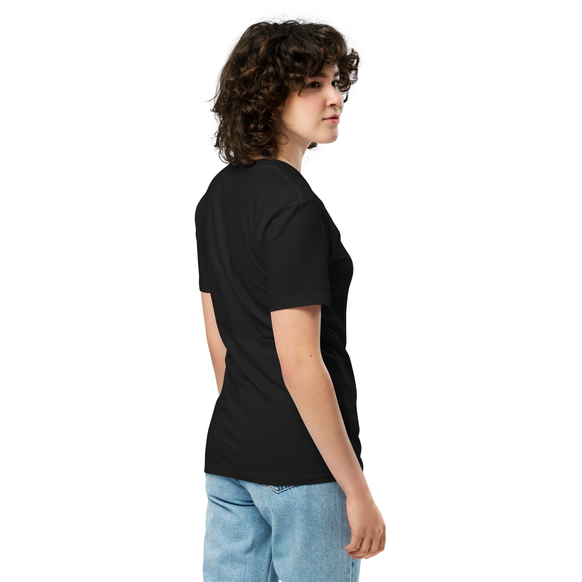 MEET ME AT THE MUSEUM Unisex premium t-shirt